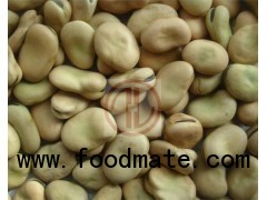 Broad Bean