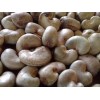 Raw Cashew Nuts in Shell