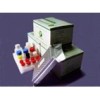 Aflatoxins B1 ELISA test kit