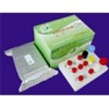 Ochratoxin A（OTA）ELISA Test Kit