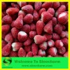 Bulk IQF frozen strawberry