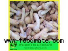 Frozen Nameko