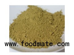 Cassia Tora Powder