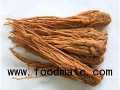 Angelica Extract