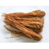 Angelica Extract