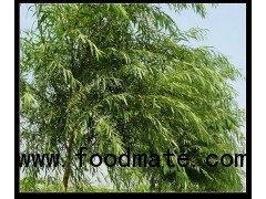 White Willow Bark Extract