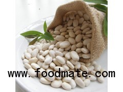 White Kidney Bean Extract