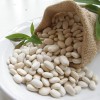 White Kidney Bean Extract