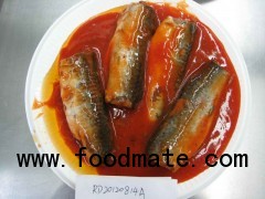 canned fish mackerel canned mackerel in tomato sauce
