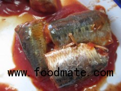 canned Sardines in Tomato Sauce Ayam brand quanlity