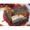 canned Sardines in Tomato Sauce Ayam brand quanlity