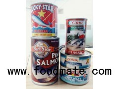 canned tuna Canned sardine fish in tomato sauce