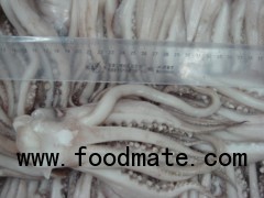 Frozen Squid Tentacles