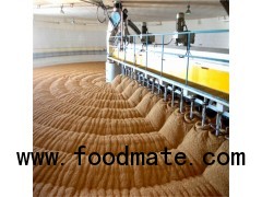 good quality Australian barley for beer making