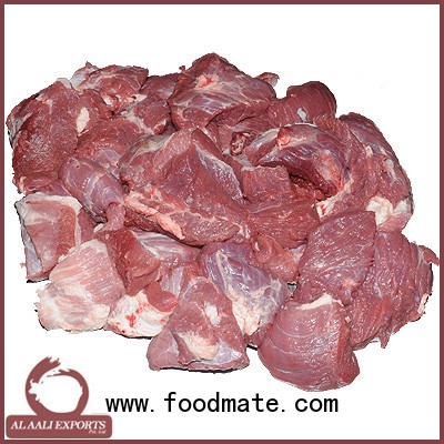 Meat exporters india
