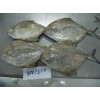 black pomfret