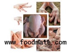 Halal Whole Frozen Chicken, Chicken Feet/Paws, Chicken Eggs,Chicken Breast Fillet, Chicken Legs