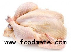 HIGH QUALITY Halal Frozen Whole Chicken