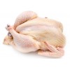 HIGH QUALITY Halal Frozen Whole Chicken