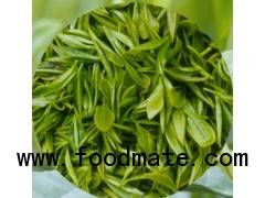 Green Tea Extract