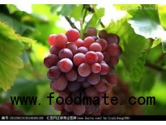 Grape Skin Extract