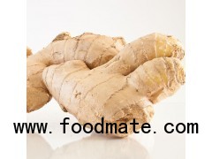 Ginger Extract