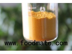 Sea Buckthorn Fruit Powder