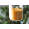 Sea Buckthorn Fruit Powder