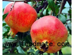 Pomegranate Extract