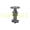 Globe Valve, 900 LB, 1 Inch, OS&Y, Pressure seal Bonnet