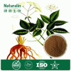 Natural herb extract Organic Chinese angelica (Dong Quai) Extract 1% Ligustilides; 1% Ferulic acid