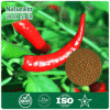 Pure Organic capsicum extract cayenne pepper with capsaicin