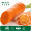 High Quality Carrot Extract