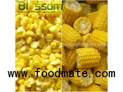 Frozen vegetables IQF sweet corn yellow corn