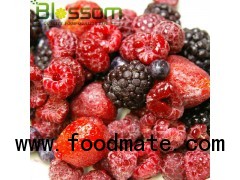 IQF fruit frozen mixed berries