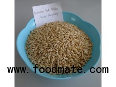 Australian animal feed barley with low price