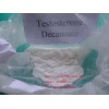 Testosterone Decanoate CAS 5721-91-5/sales05@ycphar.com(SH-TS004)