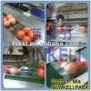 vegetable packing machine