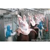 Cattle Abattoir (slaughter) Manual Over Head Convey Rail