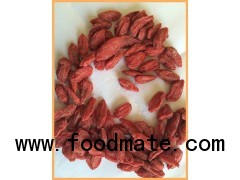 hot sell dried goji berries with free sample supply