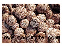 Dry Mushrooms,Dried Mushrooms,Drying Mushrooms