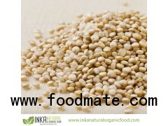 ORGANIC WHITE QUINOA Grain PREMIUM Certified