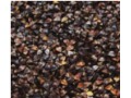 Germinated Buckwheat Has Increased Nutritional Value