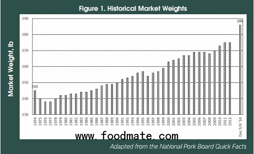 market weights