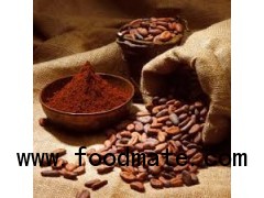 cocoa powder