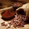 cocoa powder