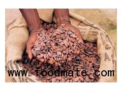 Fermented cocoa beans