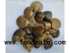 brine oyster mushroom