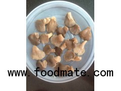 brine oyster mushroom