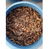 brine nameko mushroom